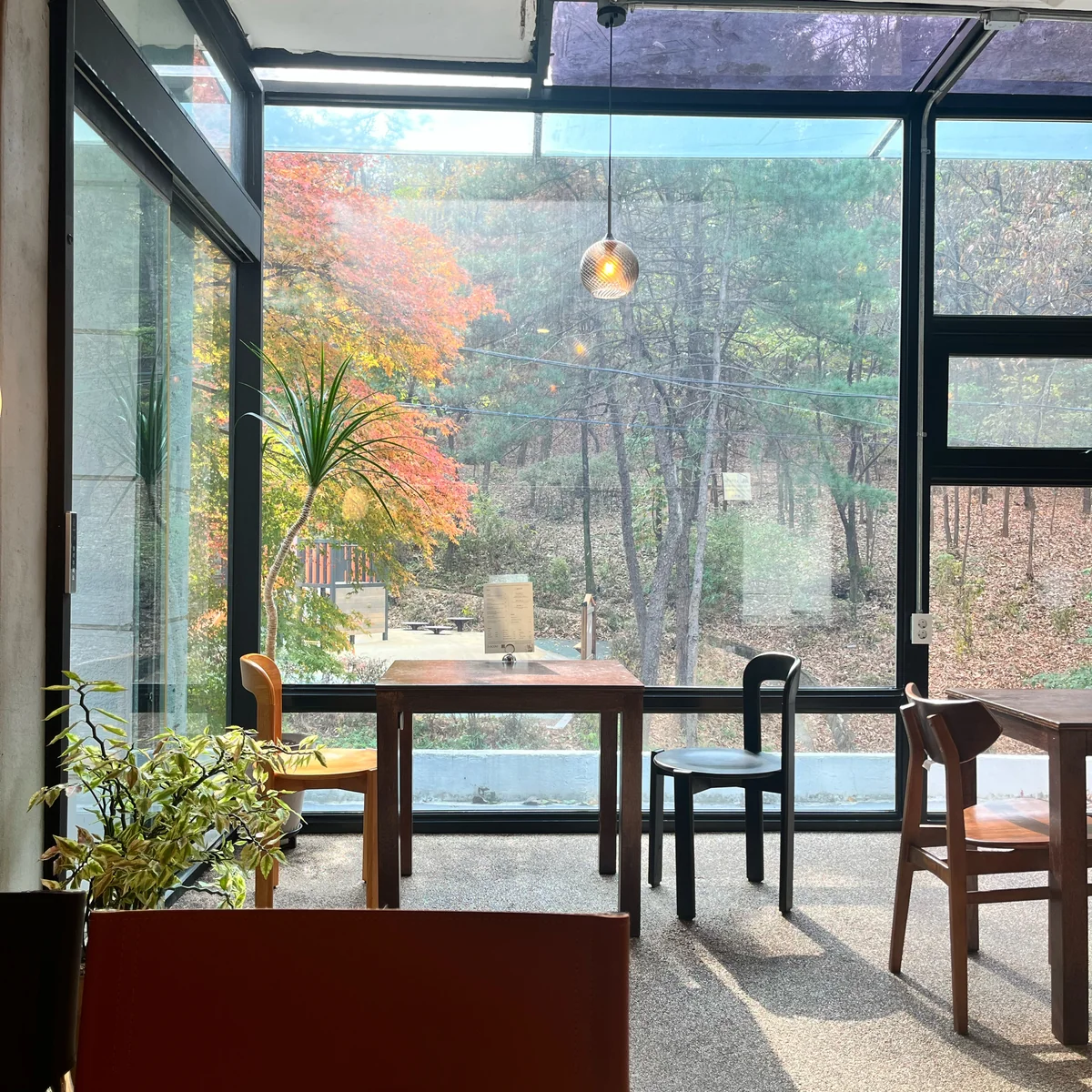 Impresionante vista de Seúl desde 'focoa brunch'('포코아 브런치')